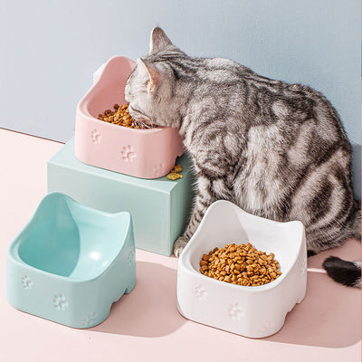 Discover the Top 10 Ceramic Bowls for Your Beloved Pet